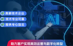 软件开发、IT基础设施运维、智能体研发、营销软件定制
