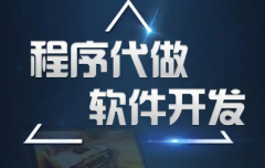 网站建设、小程序、软件APP开发、人工智能、物联网开发